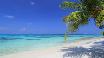 Maldives, Ari atoll, Dhigurah isl, beach