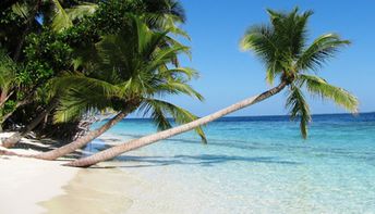 Maldives, Ari atoll, Vilamendhoo beach