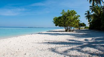 Maldives, South Ari atoll, Omadhoo beach