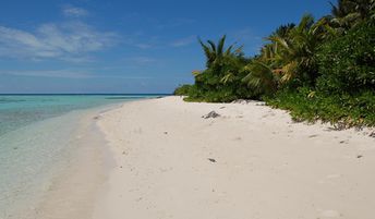 Maldives, Vaavu, Felidhoo isl, beach