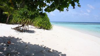 Maldives, Vaavu, Thinadhoo beach