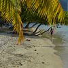 Moorea, Taahiamanu beach