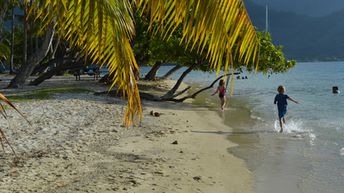 Moorea, Taahiamanu beach