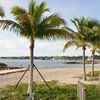 Nassau, Montagu beach, palms