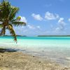 Rangiroa, Blue Lagoon, palm