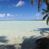 Rangiroa, Blue Lagoon, palm beach