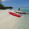 Rangiroa, Punua et Moana beach, water edge