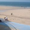 South Korea, Daecheon beach, low tide