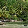 Tahiti, La Plage de Maui, palms