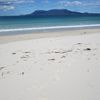 Тасмания, Пляж Спринг-бич, белый песок