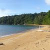 Tioman, Monkey Beach, snag