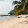 Tioman, Salang beach, palm