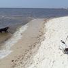 USA, Mississippi, Biloxi beach, water edge