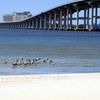 USA, Mississippi, Front Beach