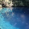 Espiritu Santo, Matevulu Blue Hole, clear water