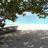Grand Cayman, Cemetery Beach, tree shadow