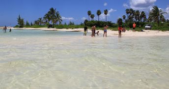 Grand Cayman, Starfish Point beach