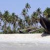 India, Goa, Benaulim beach, palms