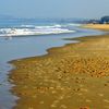 India, Goa, Cansaulim beach, water edge
