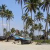 Индия, Гоа, Пляж Колва, пальмы