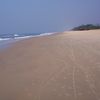 India, Goa, Mobor beach, wet sand