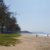 India, Goa, Talpona beach, trees