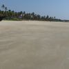 India, Goa, Utorda beach, palms