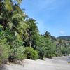 Indonesia, Lombok, Pandanan beach, trees