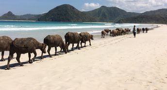 Indonesia, Lombok, Selong Belanak beach