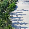 Indonesia, Lombok, Setangi beach, palms