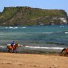 Jeju, Gwangchigi beach, horses