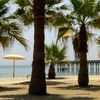 Kuwait, Egaila beach, palms