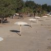 Kuwait, Egaila beach, parasols