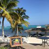 Little Cayman Beach Resort, cafe