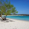 Lombok, Tanjung Aan beach, tree