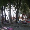 Черногория, Пляж Шушань, в тени деревьев