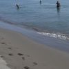 Montenegro, Velika plaza beach, wet sand