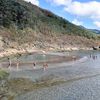 Sao Miguel, Islet of Vila Franca do Campo, sand