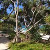 Vanuatu, Aneityum, Mystery island, beach, trees