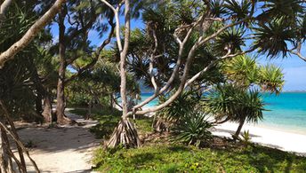 Vanuatu, Aneityum, Mystery island, beach, trees