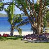 Vanuatu, Efate, Havannah beach, tree