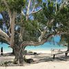 Vanuatu, Efate, Lelepa island, beach