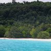 Vanuatu, Espiritu Santo, Champagne Beach, trees