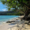 Vanuatu, Espiritu Santo, Lonnoc beach (right)