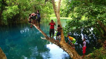 Vanuatu, Espiritu Santo, Matevulu Blue Hole