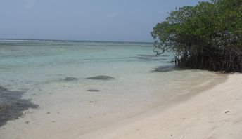 Venezuela, Cayo Las Animas beach