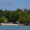 Venezuela, Cayo Muerto beach, trees