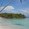 Venezuela, Cayo Paicla beach, palm over water