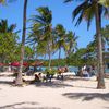 Venezuela, Cayo Playuelita beach, palms