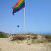 Italy, Lazio, Capocotta beach, flag